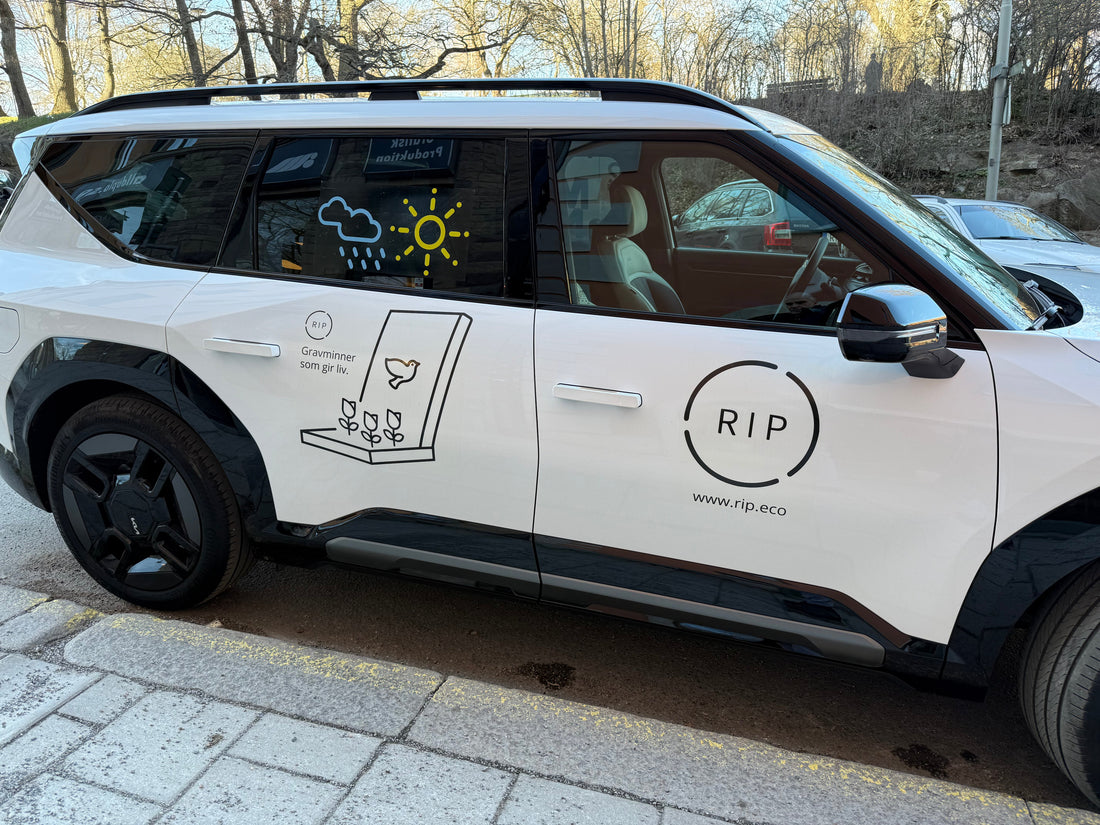 Livstein møter bransjen: Vår første store presentasjon