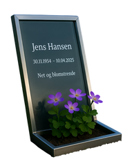 Livstein Subscription